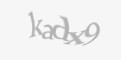 Säkerhetskod