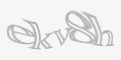 Säkerhetskod