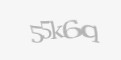 Säkerhetskod