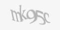 Säkerhetskod