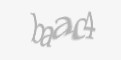 Säkerhetskod