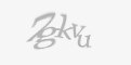 Säkerhetskod