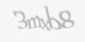 Säkerhetskod