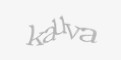 Säkerhetskod