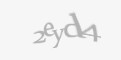 Säkerhetskod