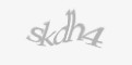 Säkerhetskod