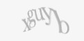 Säkerhetskod