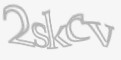 Säkerhetskod