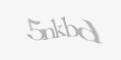 Säkerhetskod