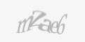 Säkerhetskod