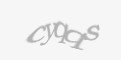 Säkerhetskod