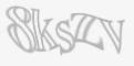 Säkerhetskod