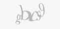 Säkerhetskod