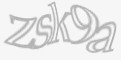 Säkerhetskod