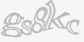 Säkerhetskod