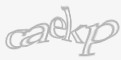 Säkerhetskod