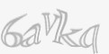 Säkerhetskod