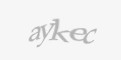 Säkerhetskod