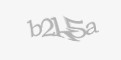 Säkerhetskod