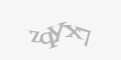 Säkerhetskod