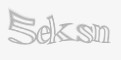 Säkerhetskod