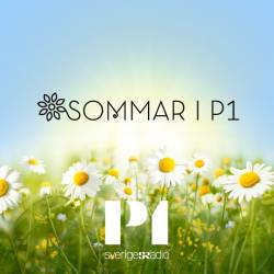 Sommarlogga.jpg